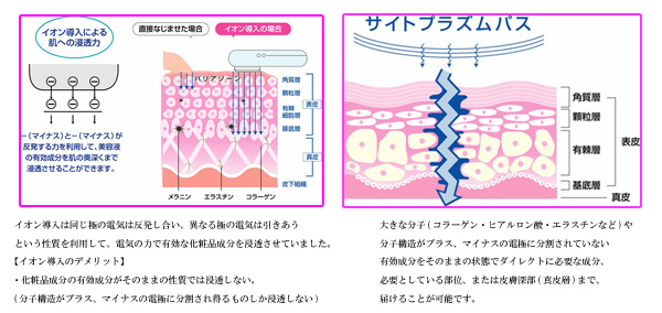 ベベピノッチオでの画期的システム 「サイトプラズムパス」