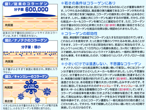 キャンスレー　人気の秘密
