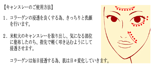 キャンスレー　ご使用方法