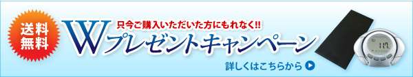 Wプレゼントキャンペーン中!詳しくはこちらから⇒
