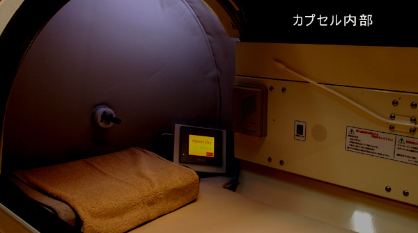 HYBRIDOXY80RF内部画像