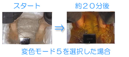 イオン デトックスフットバス