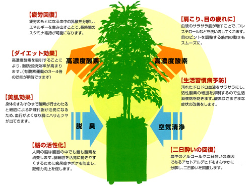 酸素の樹』　期待される効果