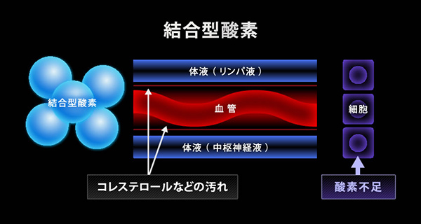 結合型酸素