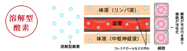 溶解型酸素　説明イラスト