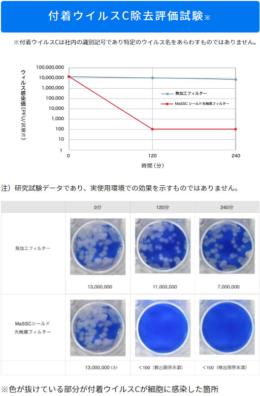 付着菌C除去評価試