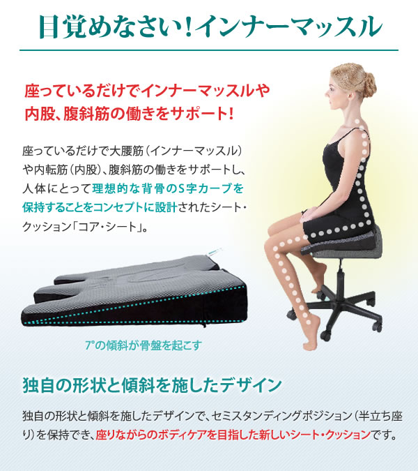 座っているだけでインナーマッスルや内股、腹斜筋の働きをサポート!