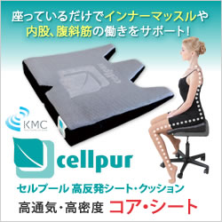 セルプール 高反発シート・クッション コア・シート