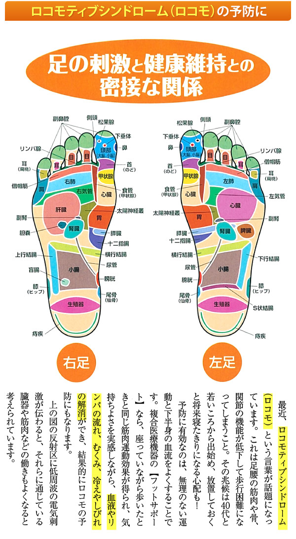 ロコモティブシンドローム（ロコモ）の予防に