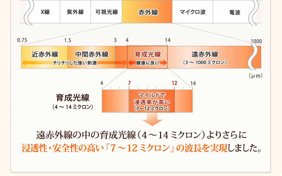 光の波長の違い