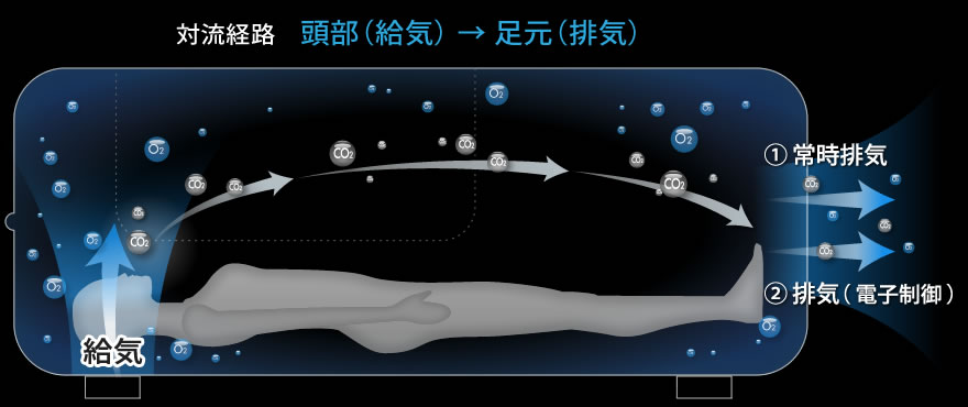 対流経路イメージ図