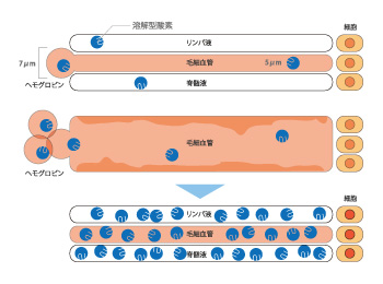 説明イラスト