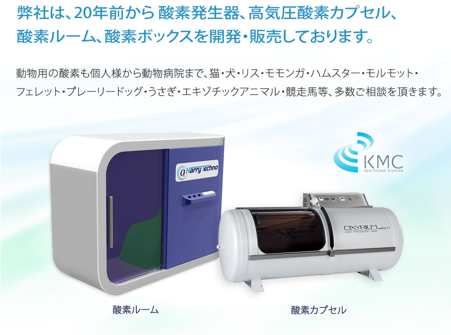 弊社は、20年前から酸素発生器、高気圧酸素カプセル、酸素ルーム、酸素ボックスを開発販売しております。