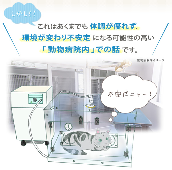 これはあくまでも体調が優れず、環境が変わり不安定になる可能性の高い「動物病院内」での話です。