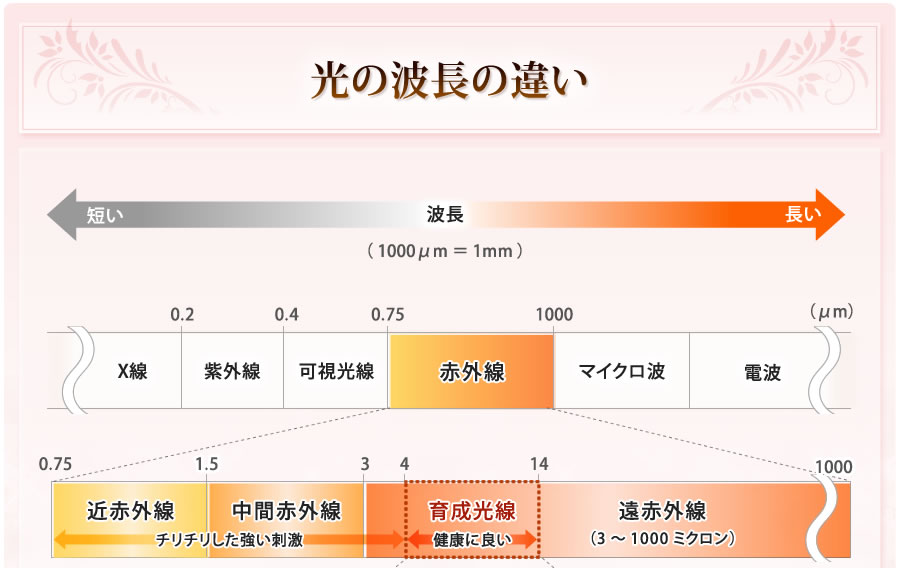 【国産】遠赤外線ドームサウナ　プロフェッショナル　プラス