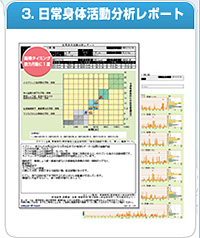 3.日常身体活動分析レポート
