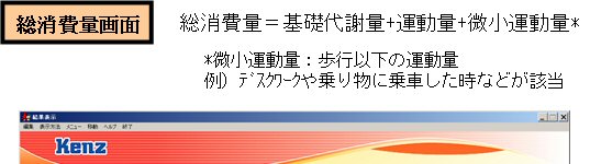 総消費量画面の解説&活用方法