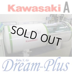 画像: 【中古品】KAWASAKIブランドの酸素カプセル　ドリームプラス 1.3気圧　程度良好A