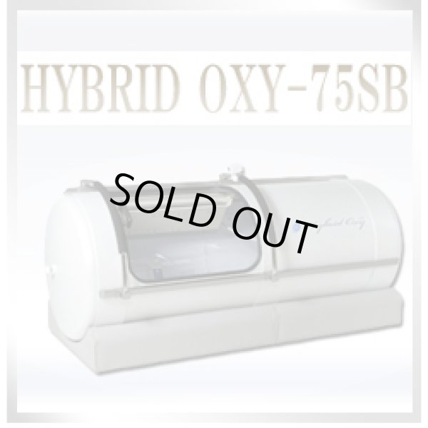 画像1: 【展示品】人気の酸素カプセルHYBRID OXY75SB　ハイブリッドオキシ－2台