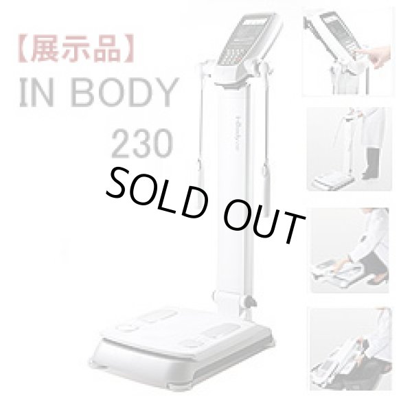 画像1: 【展示品】インボディ230/InBody230体組成計・体成分分析計1台入荷